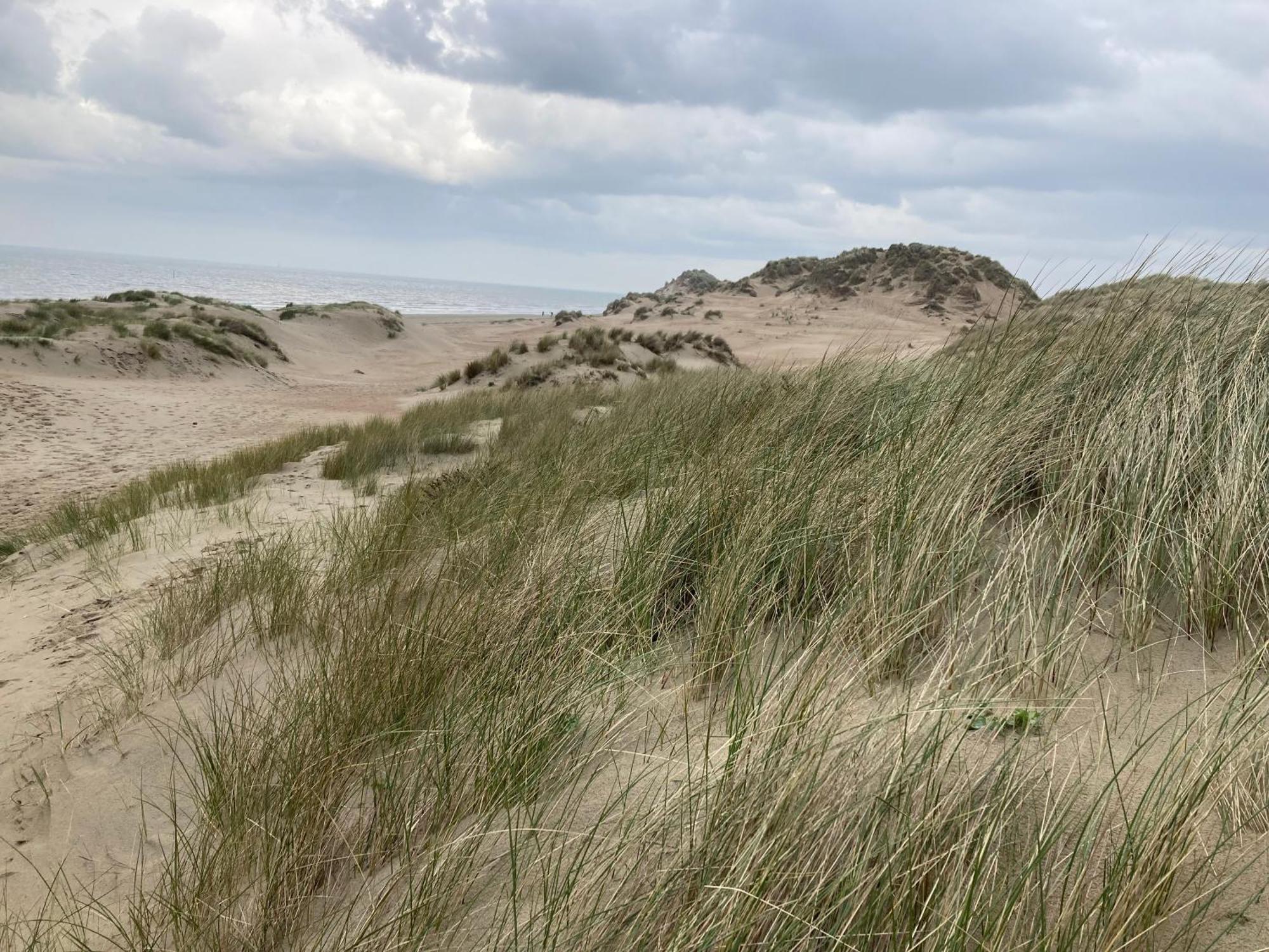 Terduinen Villa Oostduinkerke Exterior foto